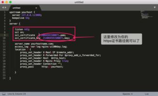 nginx反向代理 实现node.js多虚拟主机
