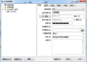 虚拟主机怎么上传网站