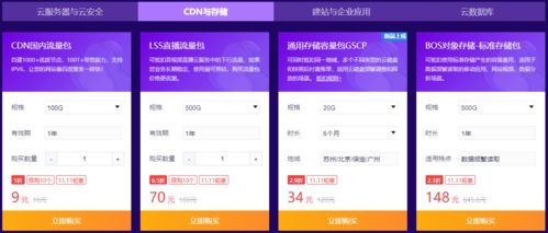 智能云开启双 11 特惠 云虚拟主机首购 6 元 3 个月
