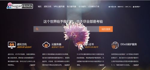 性价比爆棚的美国虚拟主机居然是它
